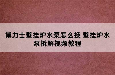 博力士壁挂炉水泵怎么换 壁挂炉水泵拆解视频教程